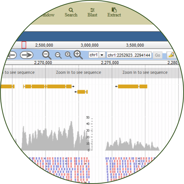 GenomeBrowser